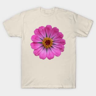 Beautiful pink daisy flower T-Shirt